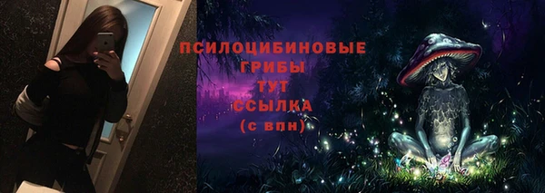 ГАЛЛЮЦИНОГЕННЫЕ ГРИБЫ Нязепетровск