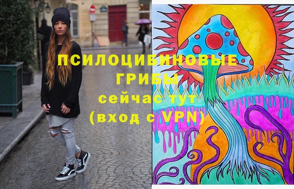 ГАЛЛЮЦИНОГЕННЫЕ ГРИБЫ Нязепетровск