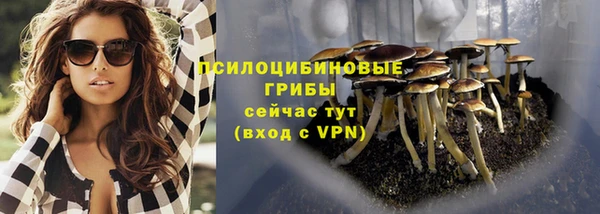 2c-b Няндома