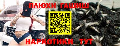 шишки Аргун