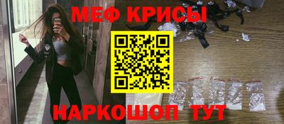 шишки Аргун
