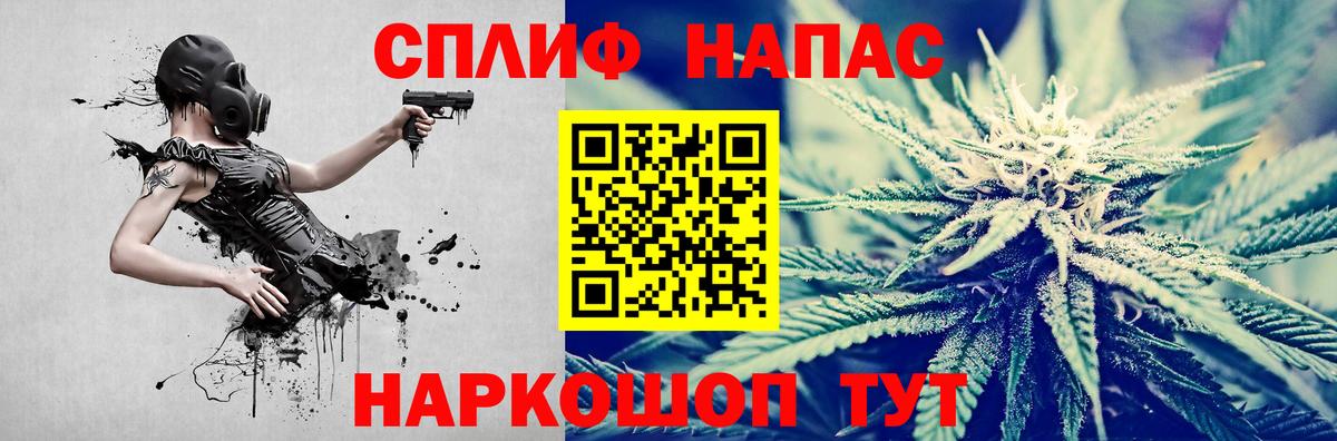 Конопля гибрид Белореченск